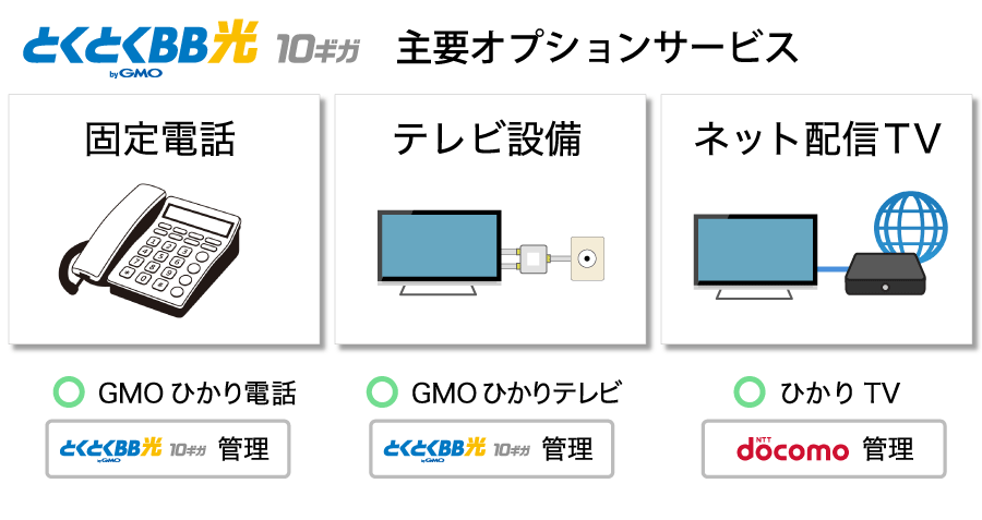 GMOとくとくBB光10ギガの主要オプション。